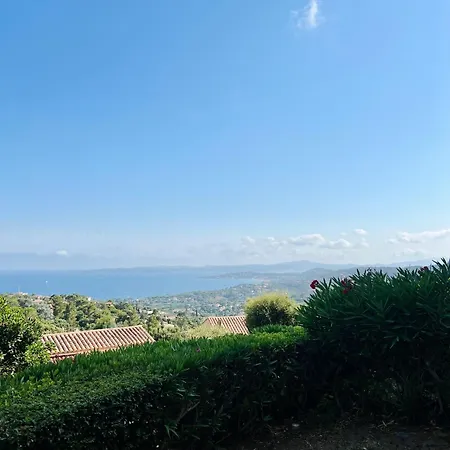 Vista Apartment